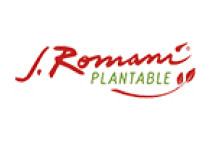  Romani tecnico