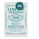 HYN- STENCIL ARTISTICO SERIE A 20 X 30 STA029