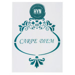 HYN- STENCIL ARTISTICO SERIE B 20 X 30 STB005