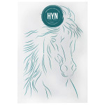 HYN- STENCIL ARTISTICO SERIE B 20 X 30 STB094