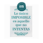 HYN- STENCIL ARTISTICO SERIE F 20 X 30 STF003