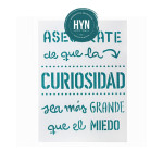 HYN- STENCIL ARTISTICO SERIE F 20 X 30 STF014