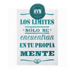 HYN- STENCIL ARTISTICO SERIE F 20 X 30 STF030