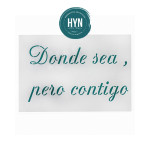 HYN- STENCIL ARTISTICO SERIE F 20 X 30 STF032