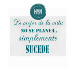 HYN- STENCIL ARTISTICO SERIE F 20 X 30 STF034