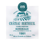 HYN- STENCIL ARTISTICO SERIE XXL 60 X 40 STXXL017