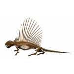 LASER DIX-  JUEGOS DIDACTICOS COD. 0914 DIMETRODON