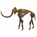 LASER DIX-  JUEGOS DIDACTICOS COD. 0915 MAMMOTH